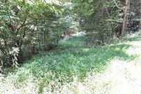 Property for sale in Tioga County, New York