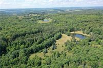 Undeveloped Land for sale in Chenango County, New York