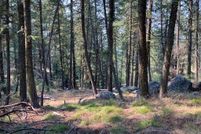 Property for sale in Valley County, Idaho