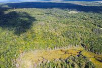 Property for sale in Lewis County, New York