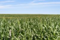 Ranch Property for sale in Bell County, Texas