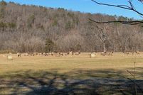 Farm Property for sale in Searcy County, Arkansas