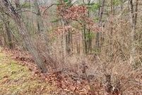 Property for sale in Shenandoah County, Virginia