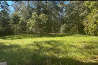 Undeveloped Land for sale in Wayne County, Georgia