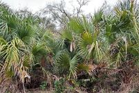 Property for sale in Sarasota County, Florida