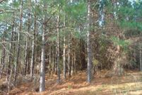 Property for sale in Mecklenburg County, Virginia