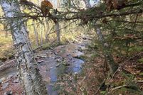 Undeveloped Land for sale in Coos County, New Hampshire