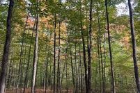 Property for sale in Antrim County, Michigan