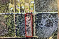 Undeveloped Land for sale in Orange County, Florida