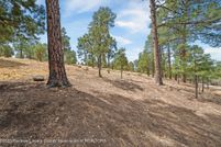 Undeveloped Land for sale in Lincoln County, New Mexico