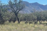 Undeveloped Land for sale in Santa Cruz County, Arizona