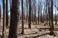 Undeveloped Land for sale in Pocahontas County, West Virginia