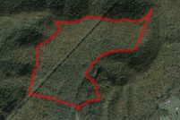 Undeveloped Land for sale in Nicholas County, West Virginia