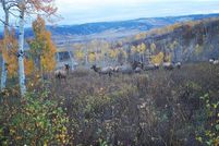 Undeveloped Land for sale in Routt County, Colorado