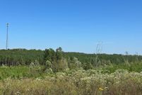 Undeveloped Land for sale in Henry County, Tennessee