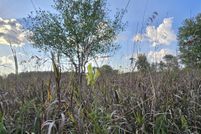 Property for sale in Isabella County, Michigan