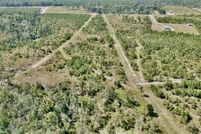 Property for sale in Jeff Davis County, Georgia