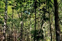 Property for sale in Van Buren County, Tennessee