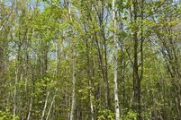 Undeveloped Land for sale in Oneida County, Wisconsin