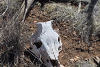 Property for sale in Coconino County, Arizona