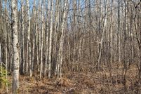 Undeveloped Land for sale in Ashland County, Wisconsin