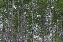 Property for sale in Oneida County, Wisconsin