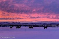 Property for sale in Sublette County, Wyoming