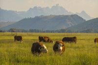 Farm Property for sale in Teton County, Wyoming
