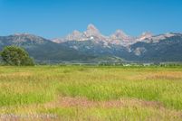 Undeveloped Land for sale in Teton County, Idaho