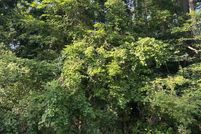 Property for sale in Durham County, North Carolina