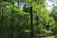 Property for sale in Vilas County, Wisconsin