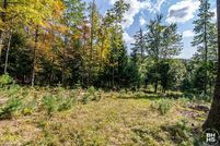 Undeveloped Land for sale in Essex County, New York