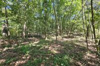 Undeveloped Land for sale in McDonald County, Missouri