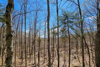 Undeveloped Land for sale in Herkimer County, New York