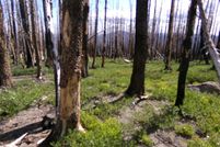 Property for sale in Siskiyou County, California