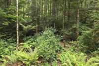 Property for sale in Mason County, Washington