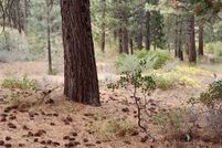 Property for sale in Plumas County, California