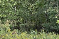 Undeveloped Land for sale in Gibson County, Tennessee