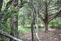 Property for sale in Colleton County, South Carolina