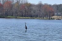 Farm Property for sale in Carroll County, Tennessee