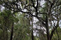 Undeveloped Land for sale in Beaufort County, South Carolina