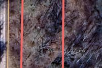 Property for sale in Hamilton County, Tennessee