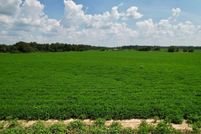 Property for sale in Houston County, Alabama