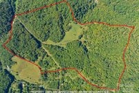 Undeveloped Land for sale in Madison County, North Carolina