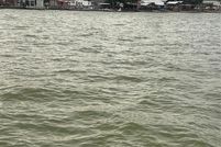 Lakefront Property for sale in Navarro County, Texas