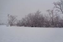 Undeveloped Land for sale in Wayne County, Michigan