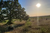 Undeveloped Land for sale in Wise County, Texas