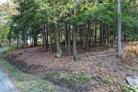 Undeveloped Land for sale in Berkshire County, Massachusetts