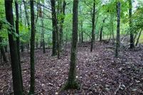 Undeveloped Land for sale in Washington County, Arkansas