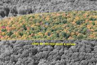 Property for sale in Delta County, Michigan